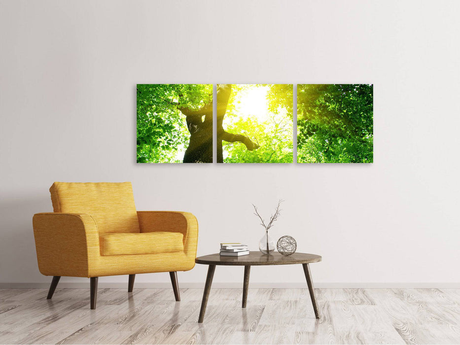 Panoramic 3-piece canvas picture tree