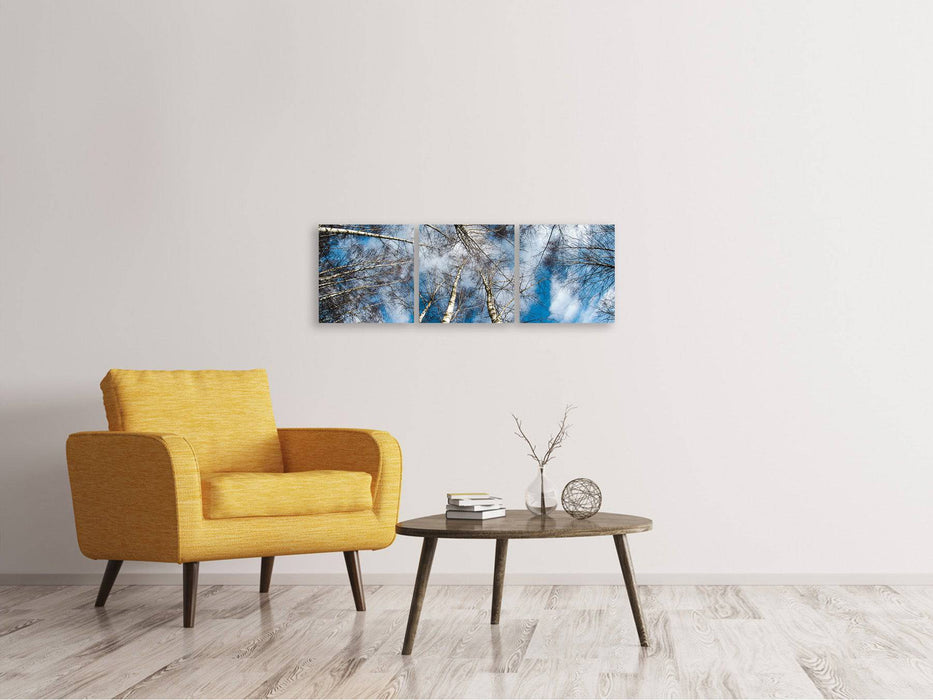 Tableau sur toile panoramique en 3 parties, couronnes de bouleau