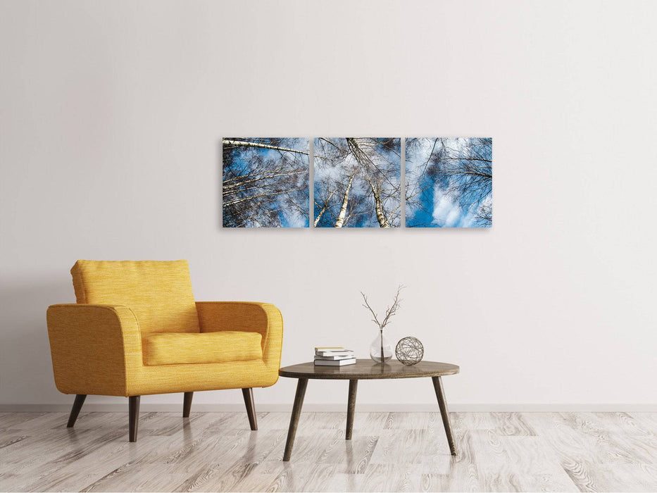 Tableau sur toile panoramique en 3 parties, couronnes de bouleau