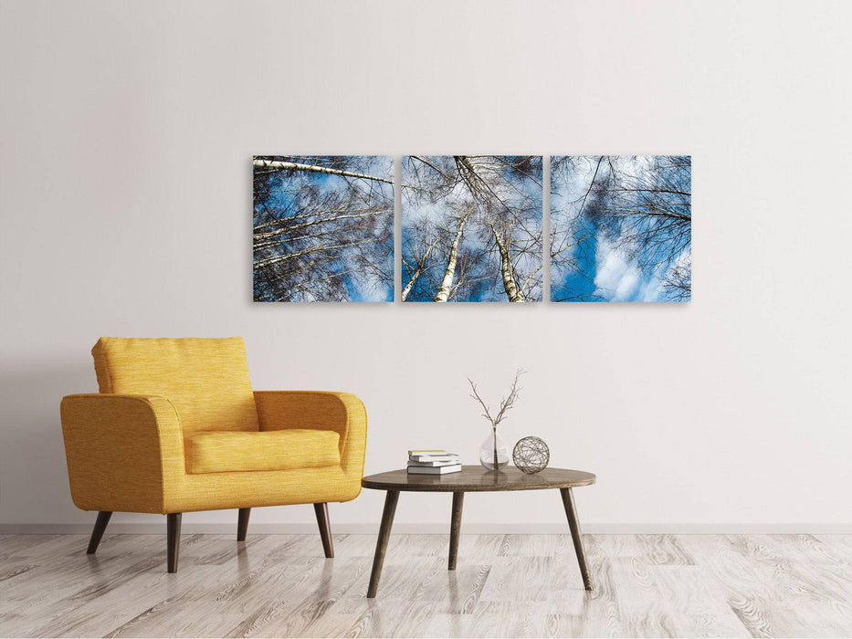 Tableau sur toile panoramique en 3 parties, couronnes de bouleau