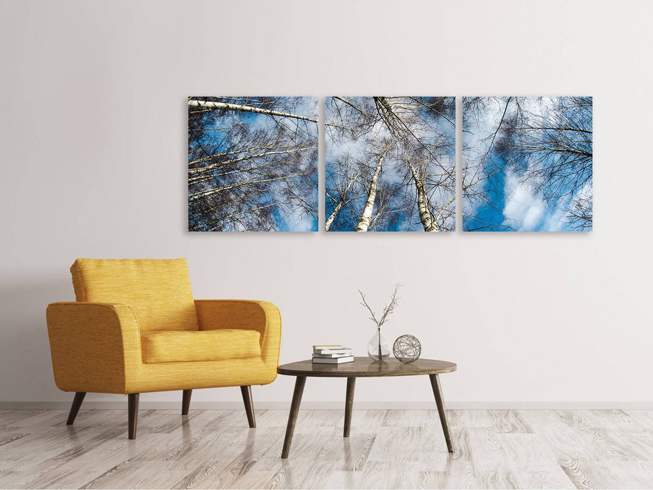 Tableau sur toile panoramique en 3 parties, couronnes de bouleau