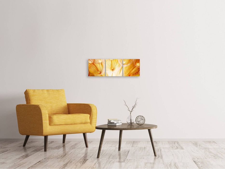 Panoramic 3-piece canvas picture Close Up Dandelion in the light