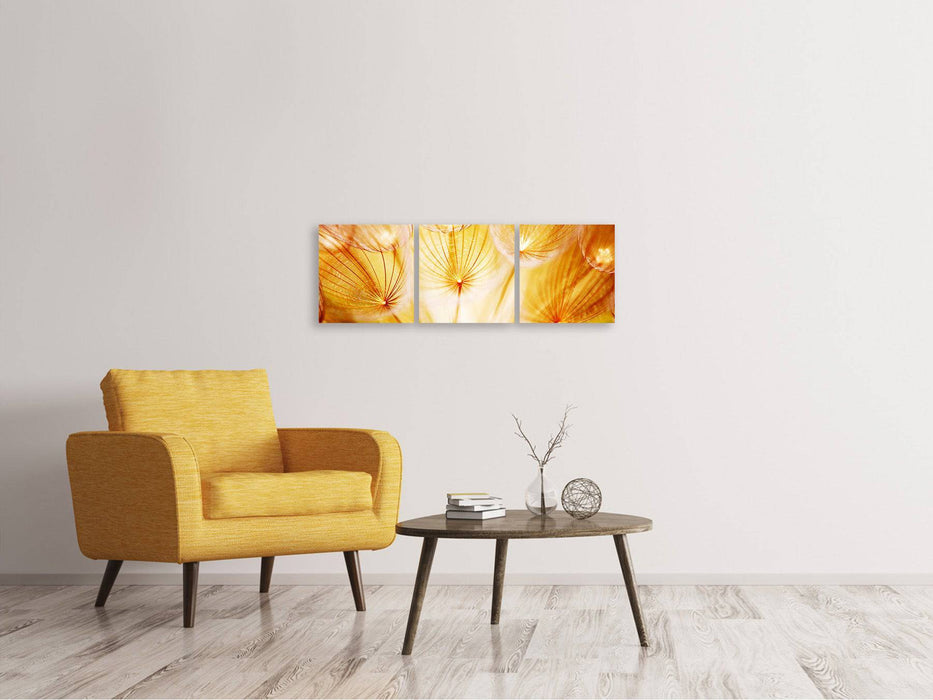 Panoramic 3-piece canvas picture Close Up Dandelion in the light