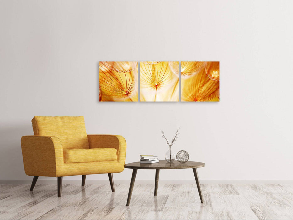 Panoramic 3-piece canvas picture Close Up Dandelion in the light