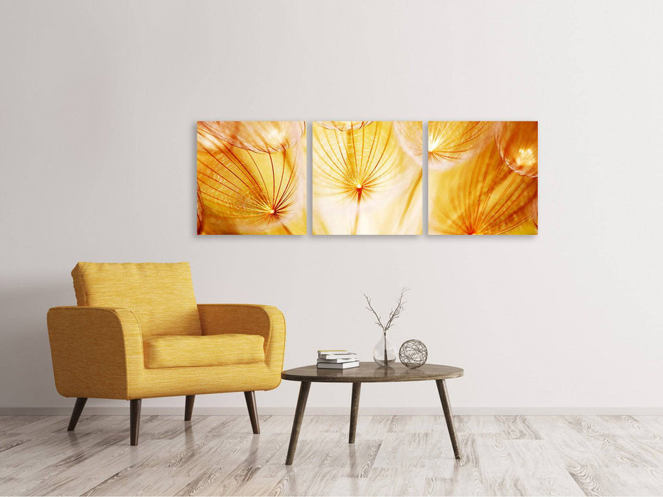 Panoramic 3-piece canvas picture Close Up Dandelion in the light