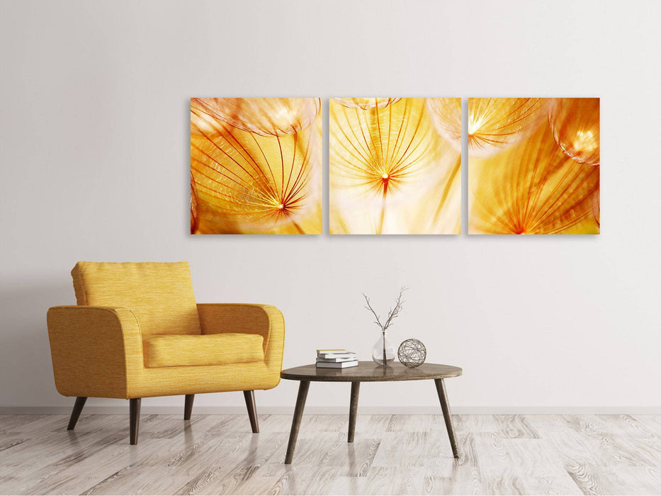 Panoramic 3-piece canvas picture Close Up Dandelion in the light