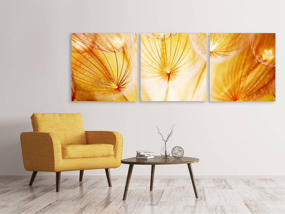 Panoramic 3-piece canvas picture Close Up Dandelion in the light