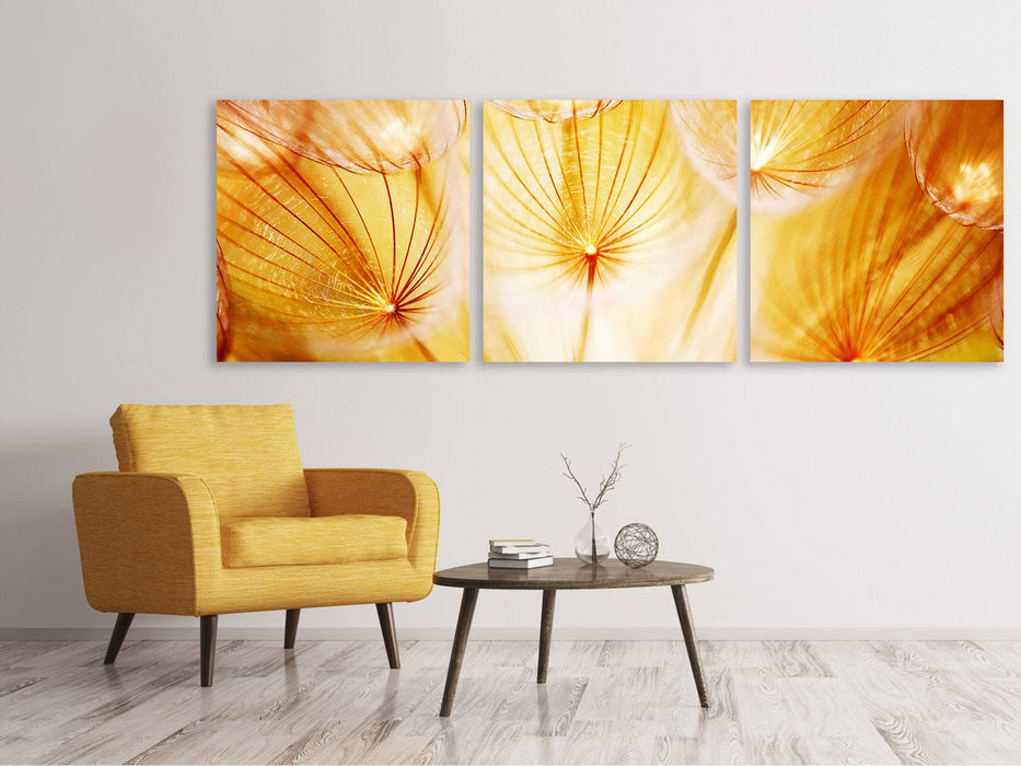 Panoramic 3-piece canvas picture Close Up Dandelion in the light