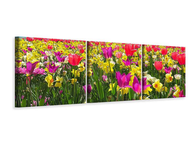 Panoramic 3-piece canvas picture Spring Awakening