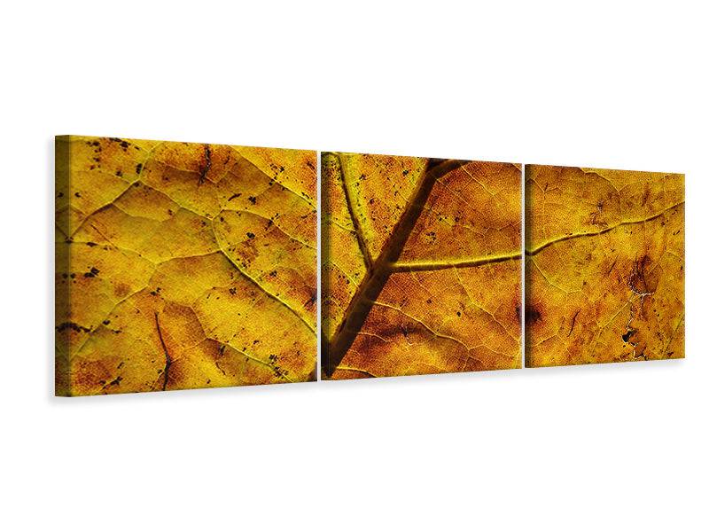 Panorama 3-piece canvas picture The autumn leaf