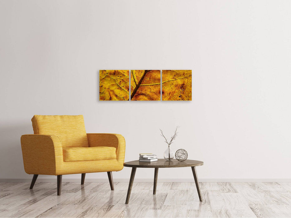 Panorama 3-piece canvas picture The autumn leaf