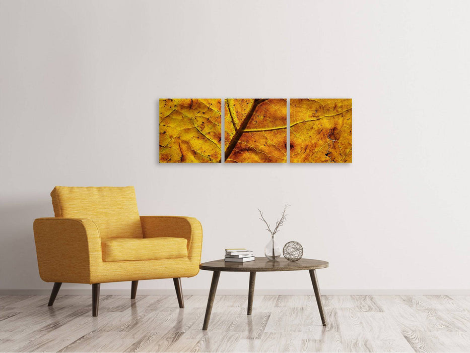 Panorama 3-piece canvas picture The autumn leaf