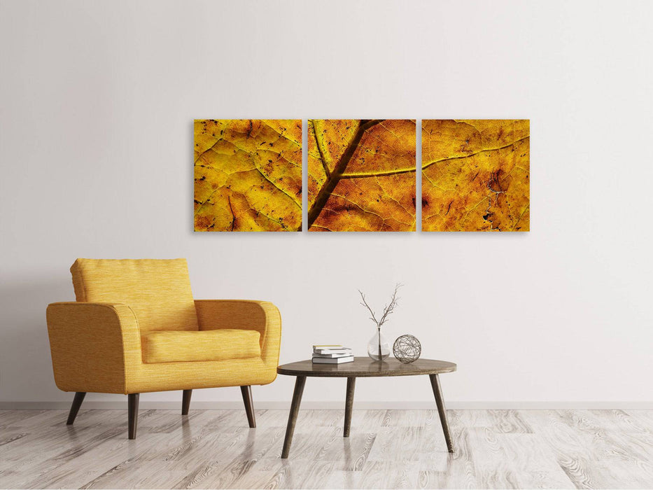 Panorama 3-piece canvas picture The autumn leaf