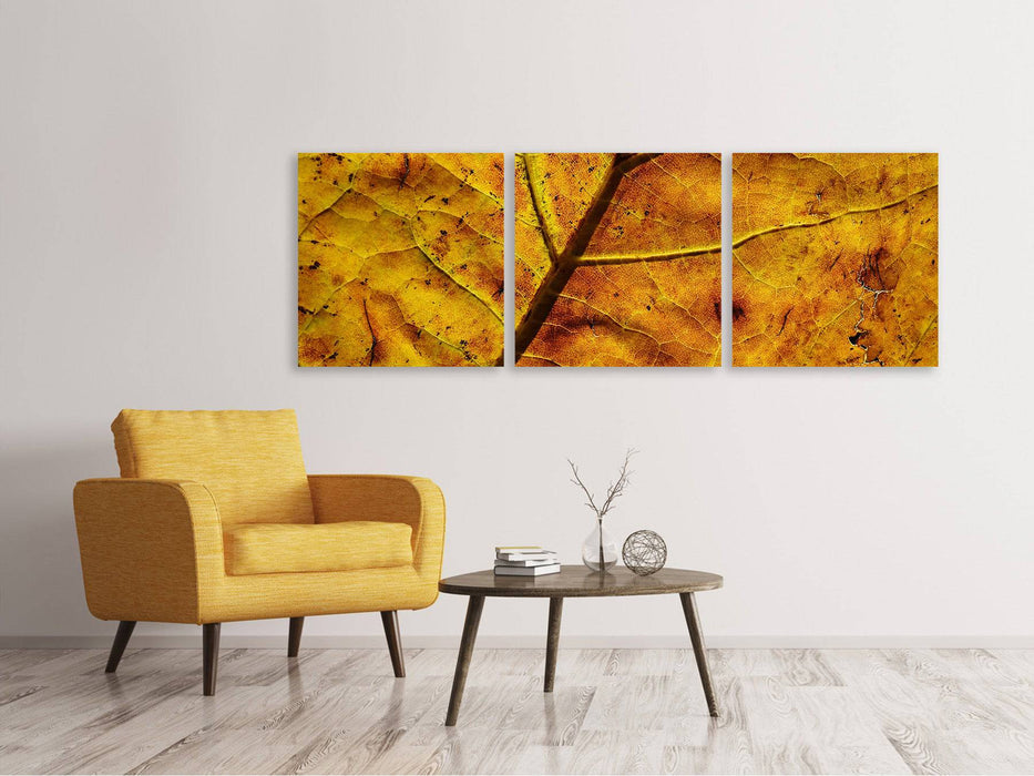 Panorama 3-piece canvas picture The autumn leaf