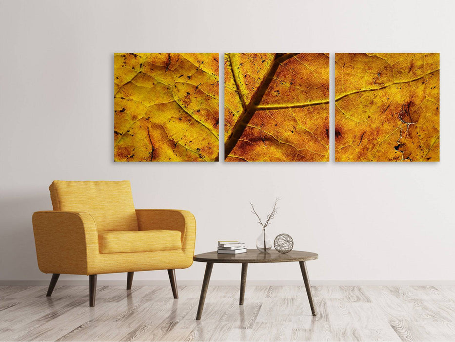 Panorama 3-piece canvas picture The autumn leaf