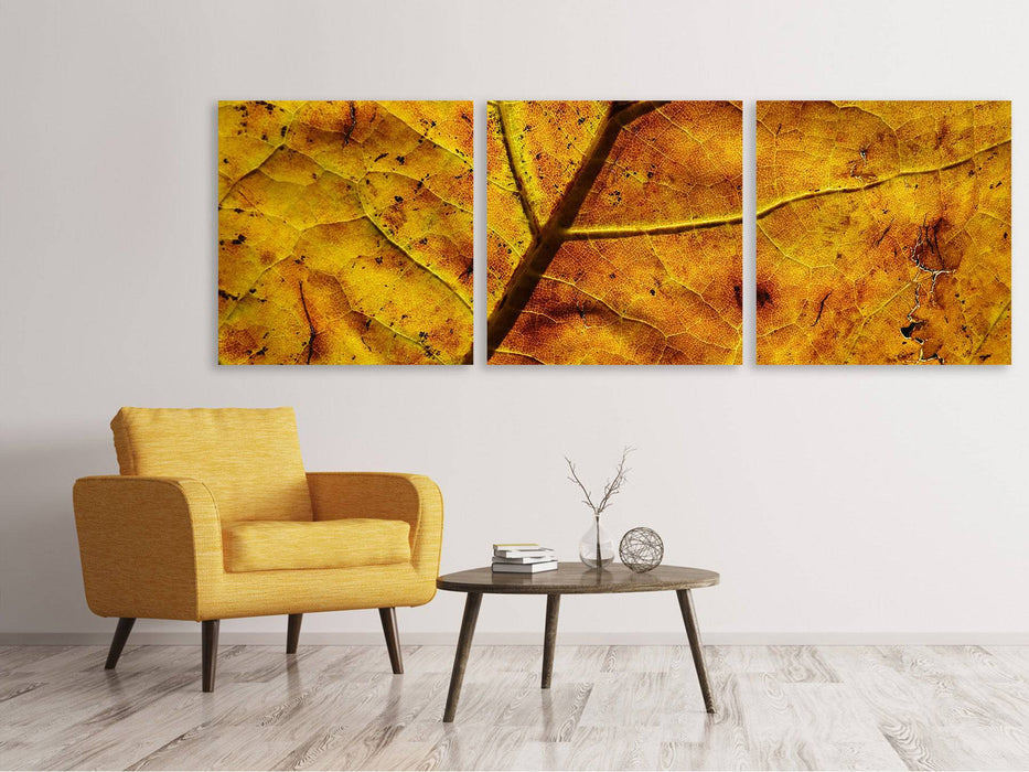 Panorama 3-piece canvas picture The autumn leaf