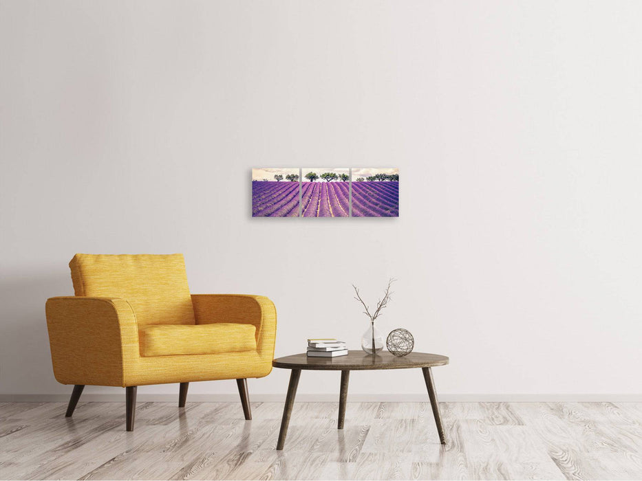 Panoramic 3-piece canvas picture The lavender field