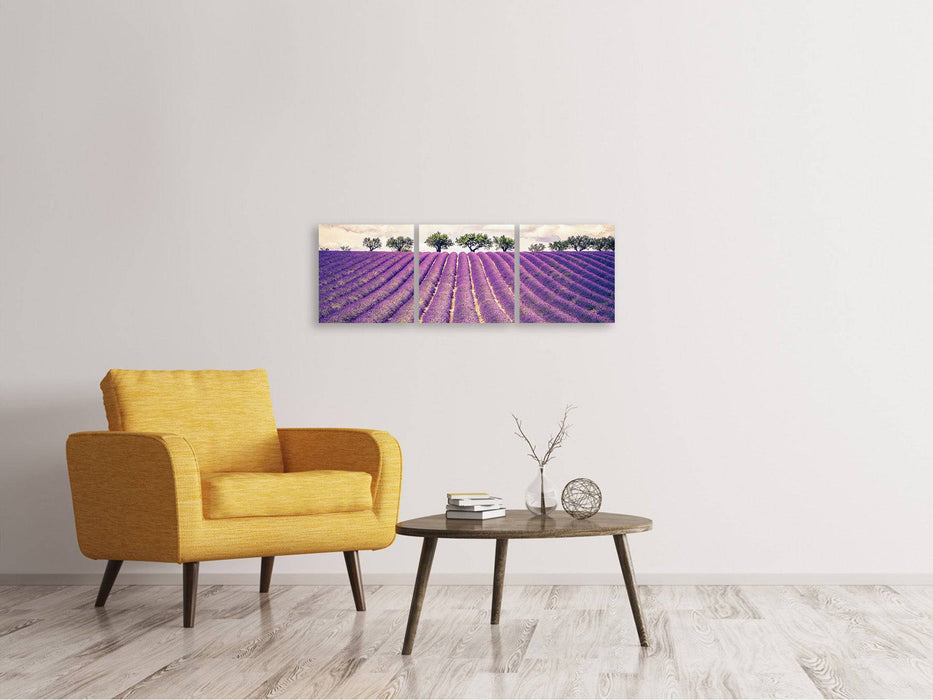 Panoramic 3-piece canvas picture The lavender field