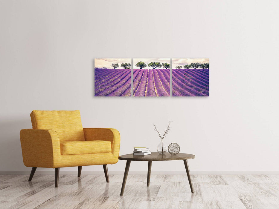 Panoramic 3-piece canvas picture The lavender field