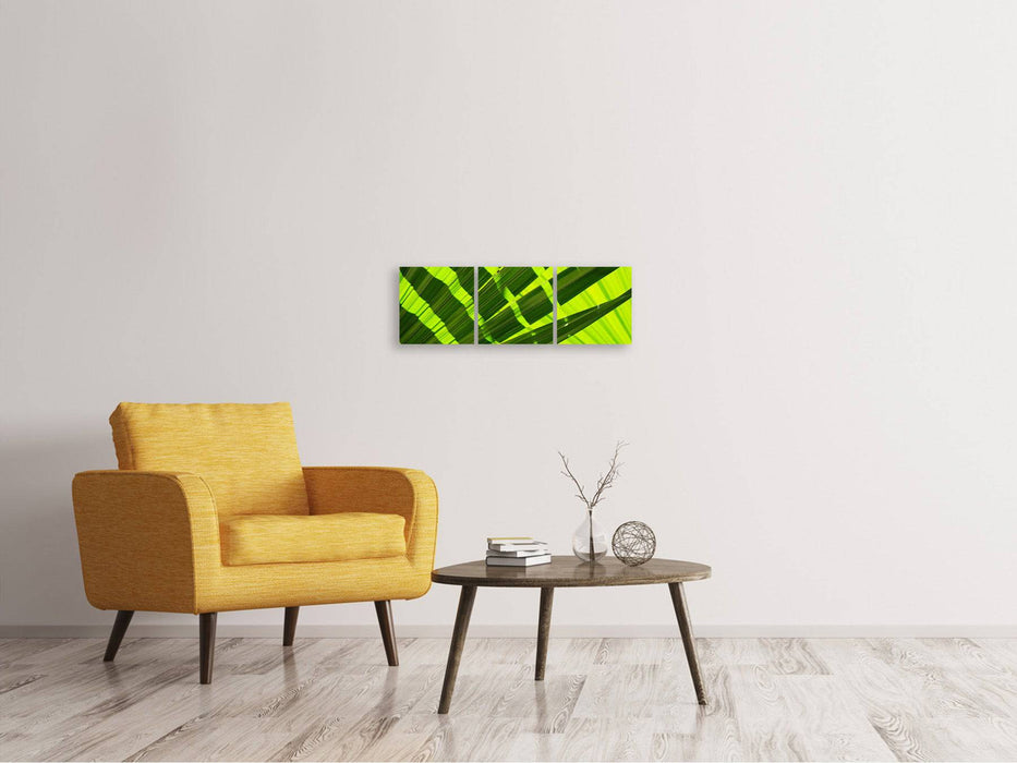 Panorama canvas picture 3 pieces The palm leaf in XL