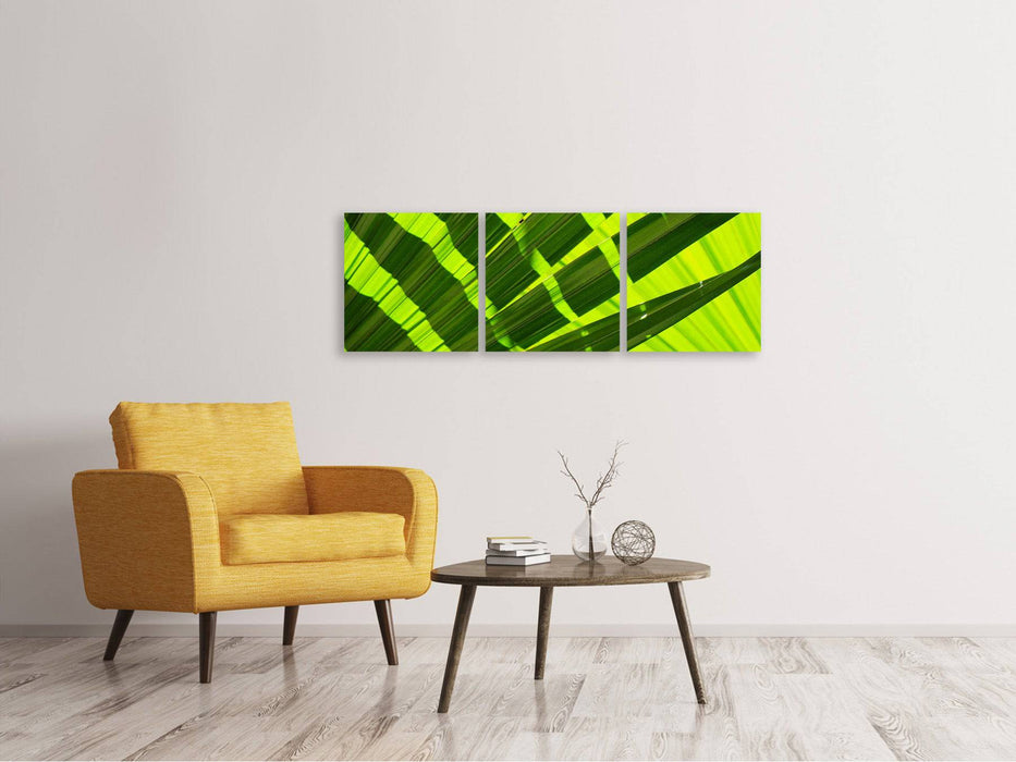 Panorama canvas picture 3 pieces The palm leaf in XL