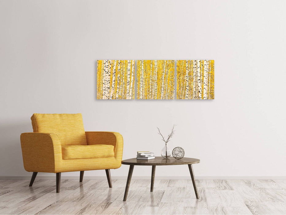 Panorama 3-piece canvas picture The birch forest in autumn