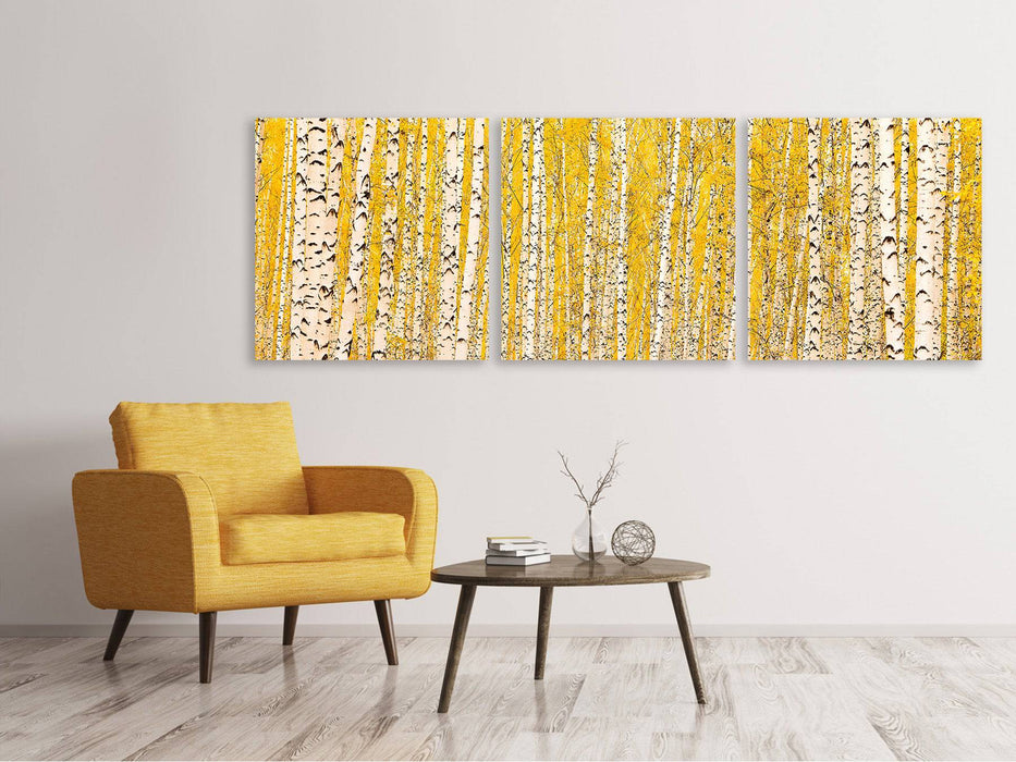 Panorama 3-piece canvas picture The birch forest in autumn