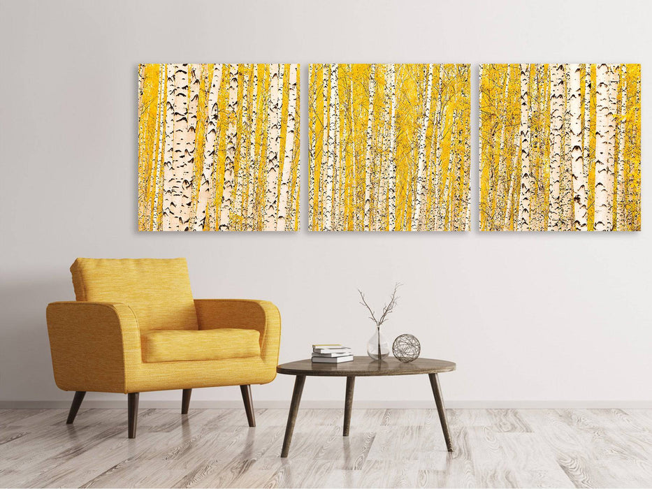 Panorama 3-piece canvas picture The birch forest in autumn