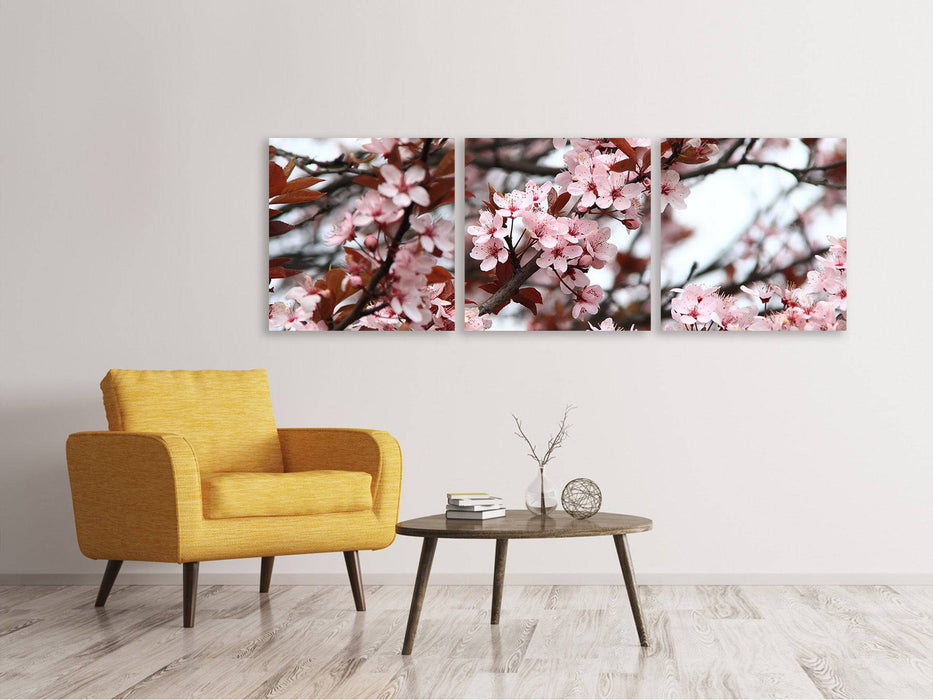 Tableau sur toile panoramique en 3 parties Le printemps est là