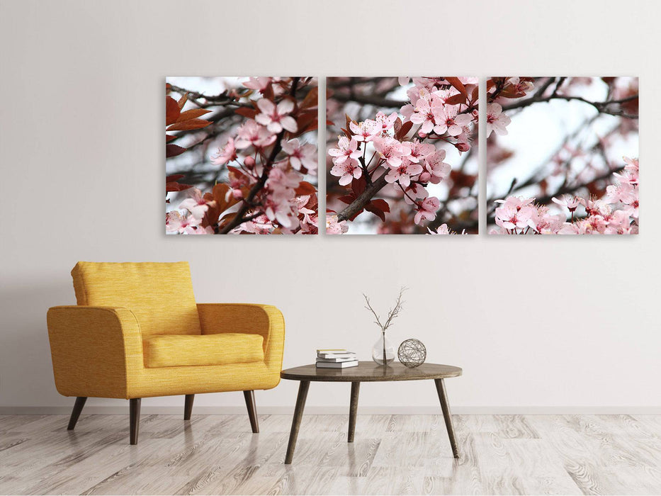 Tableau sur toile panoramique en 3 parties Le printemps est là