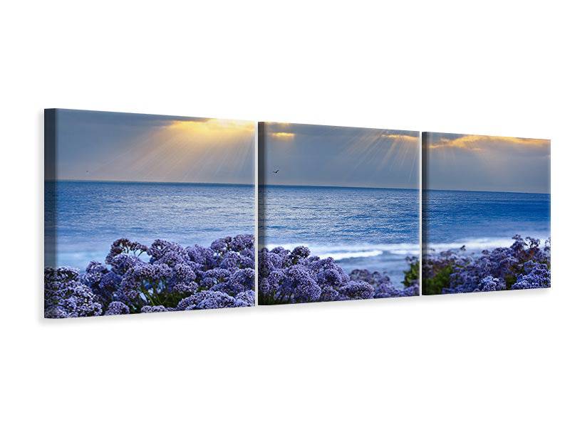 Panoramic 3-piece canvas picture The lavender and the sea