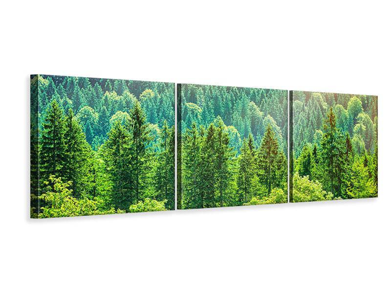 Panoramic 3-piece canvas picture The forest hill