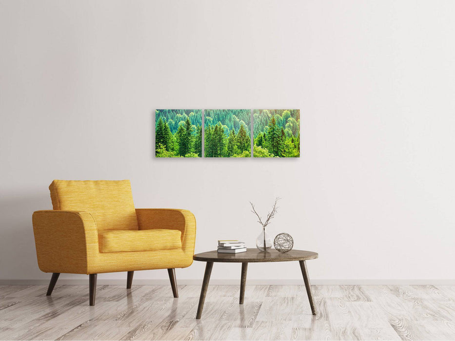 Panoramic 3-piece canvas picture The forest hill