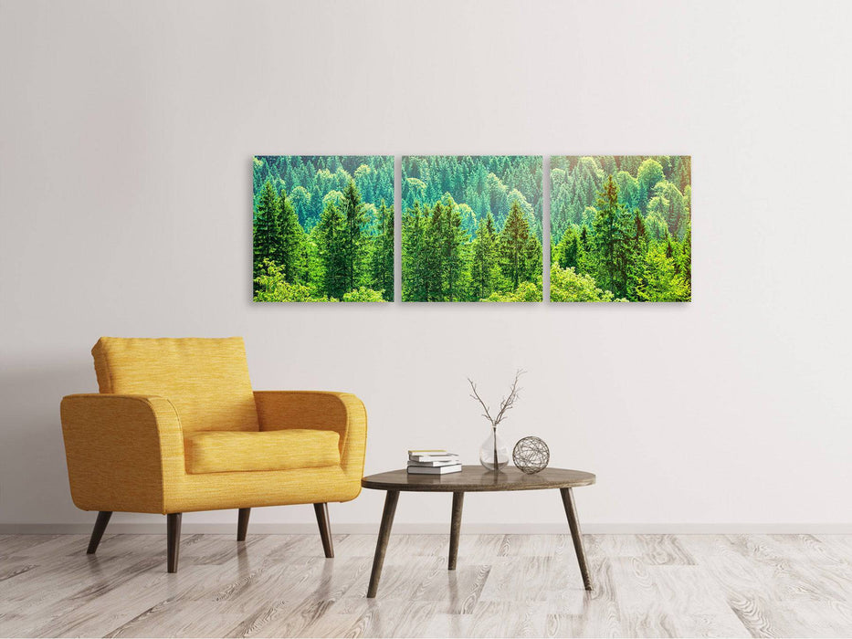 Panoramic 3-piece canvas picture The forest hill