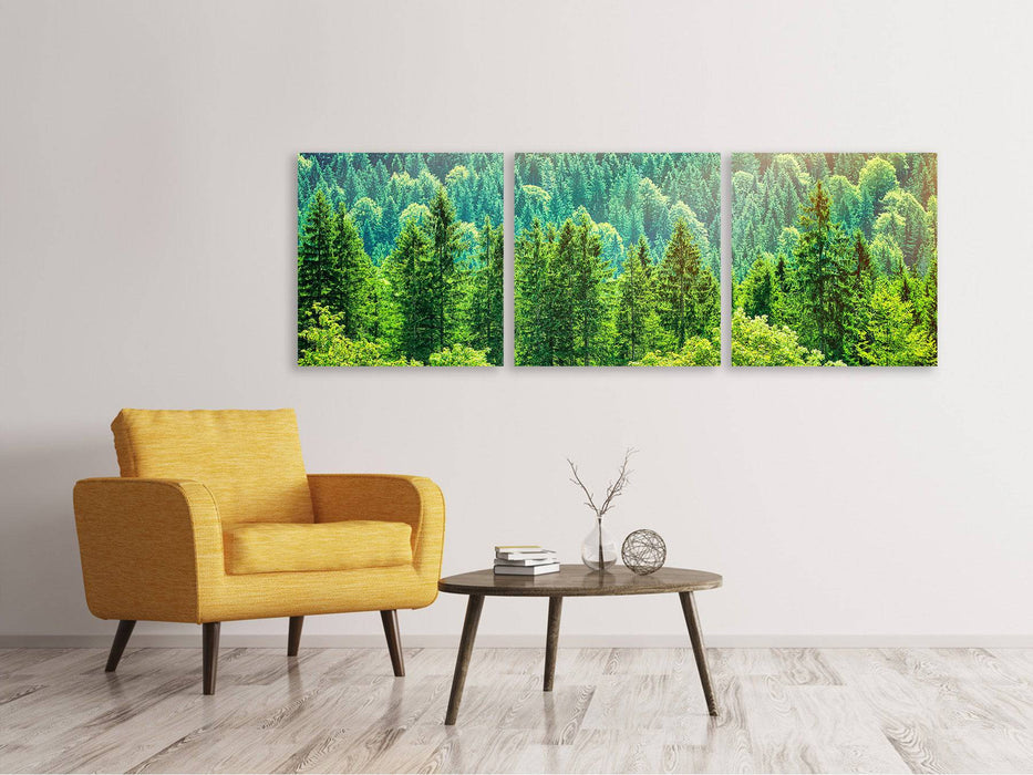 Panoramic 3-piece canvas picture The forest hill