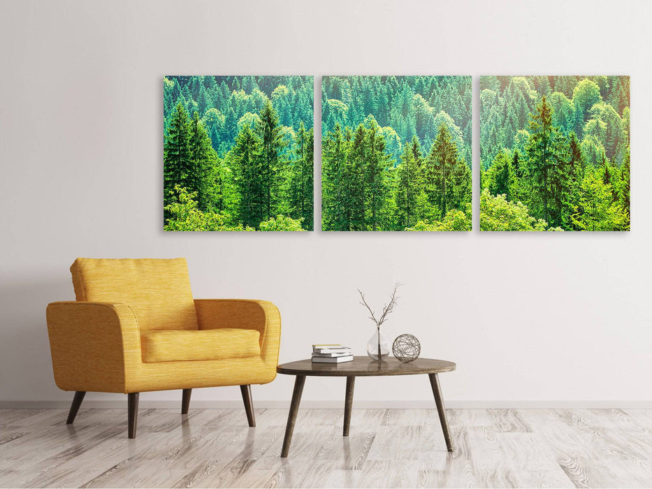 Panoramic 3-piece canvas picture The forest hill