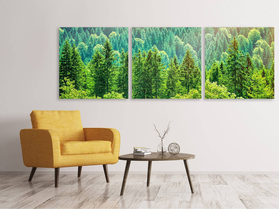 Panoramic 3-piece canvas picture The forest hill