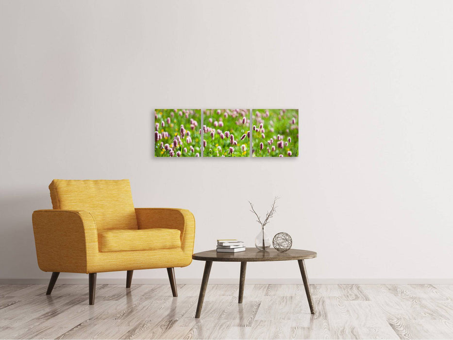 Panorama 3-piece canvas picture The meadow clover