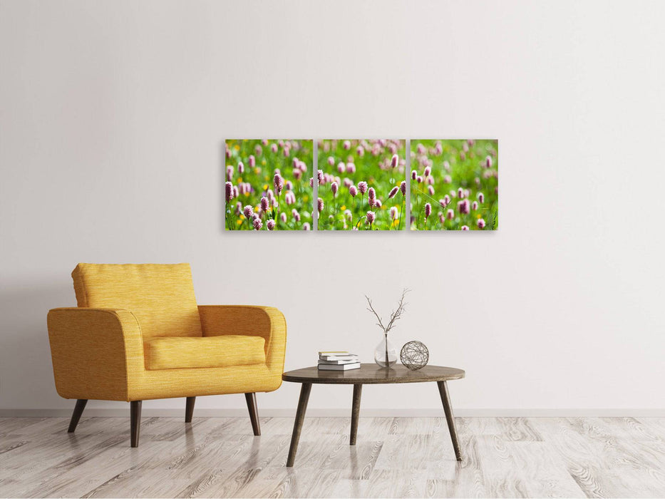 Panorama 3-piece canvas picture The meadow clover