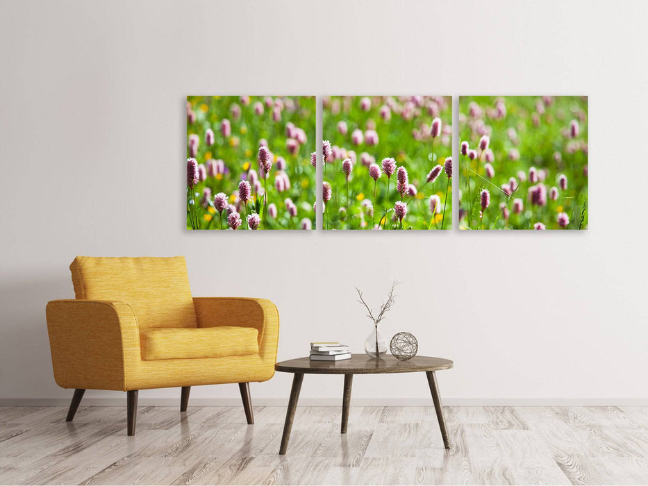 Panorama 3-piece canvas picture The meadow clover