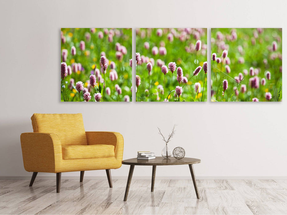 Panorama 3-piece canvas picture The meadow clover