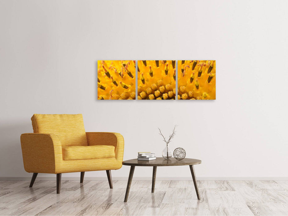 Tableau sur toile panoramique en 3 parties Les bourgeons du tournesol en XXL