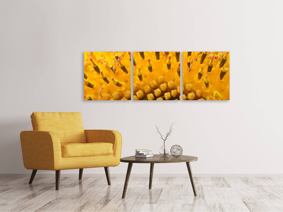 Tableau sur toile panoramique en 3 parties Les bourgeons du tournesol en XXL