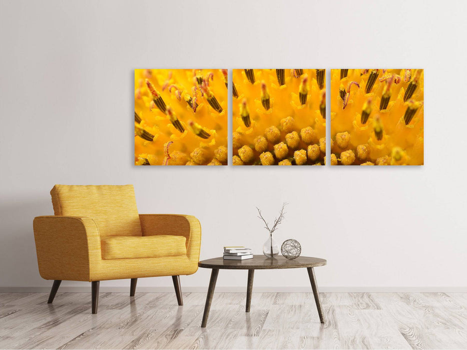 Tableau sur toile panoramique en 3 parties Les bourgeons du tournesol en XXL