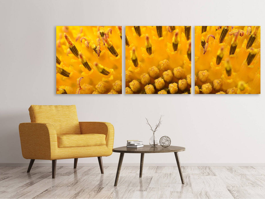 Tableau sur toile panoramique en 3 parties Les bourgeons du tournesol en XXL