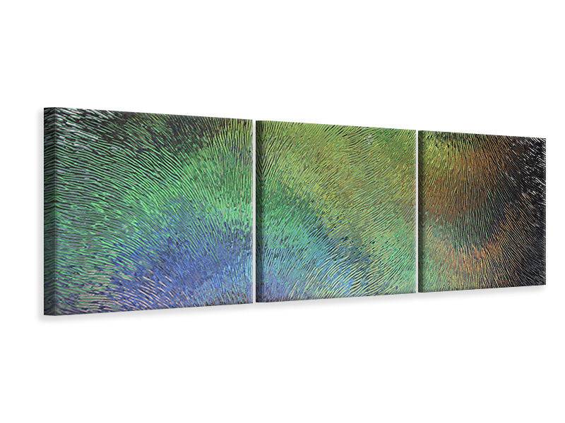 Panoramic 3-piece canvas picture The art behind the glass