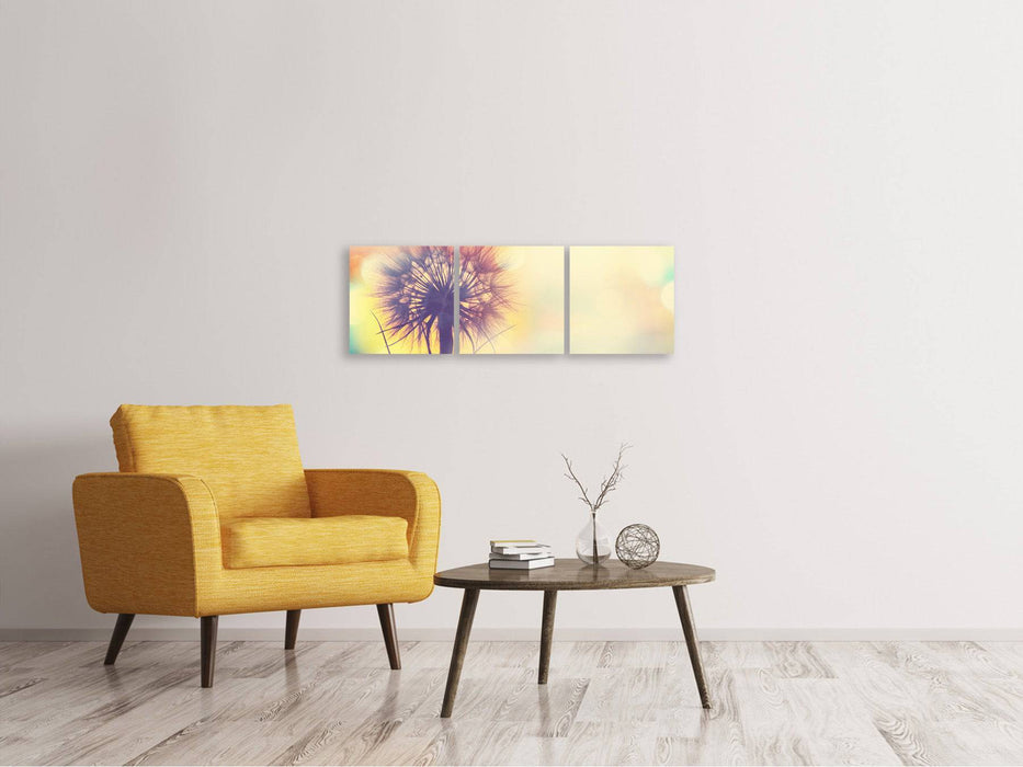 Panorama 3-piece canvas picture The dandelion in the light