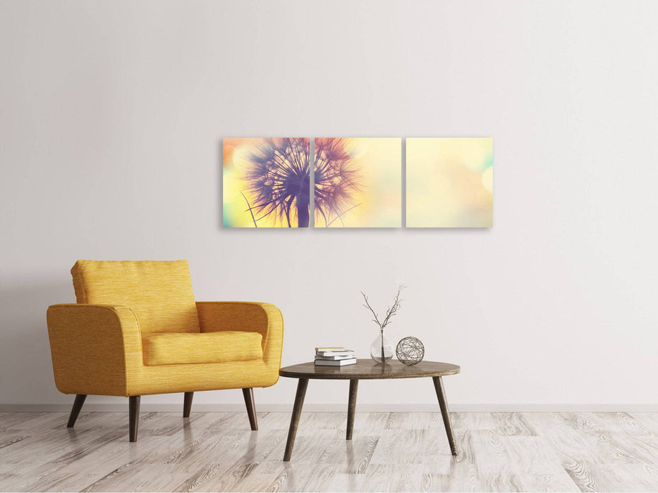 Panorama 3-piece canvas picture The dandelion in the light