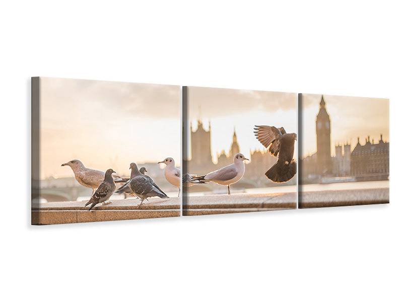 Panoramic 3-piece canvas picture The pigeons on the roof