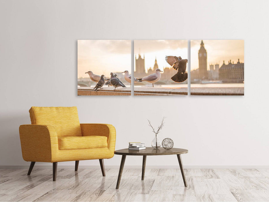 Panoramic 3-piece canvas picture The pigeons on the roof